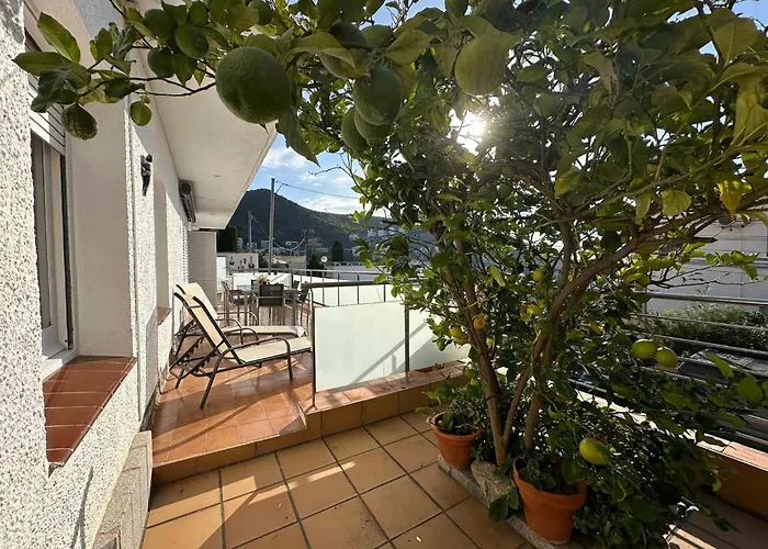 Bonito Apartamento Cerca De La Playa Con Gran Terraza Av-04