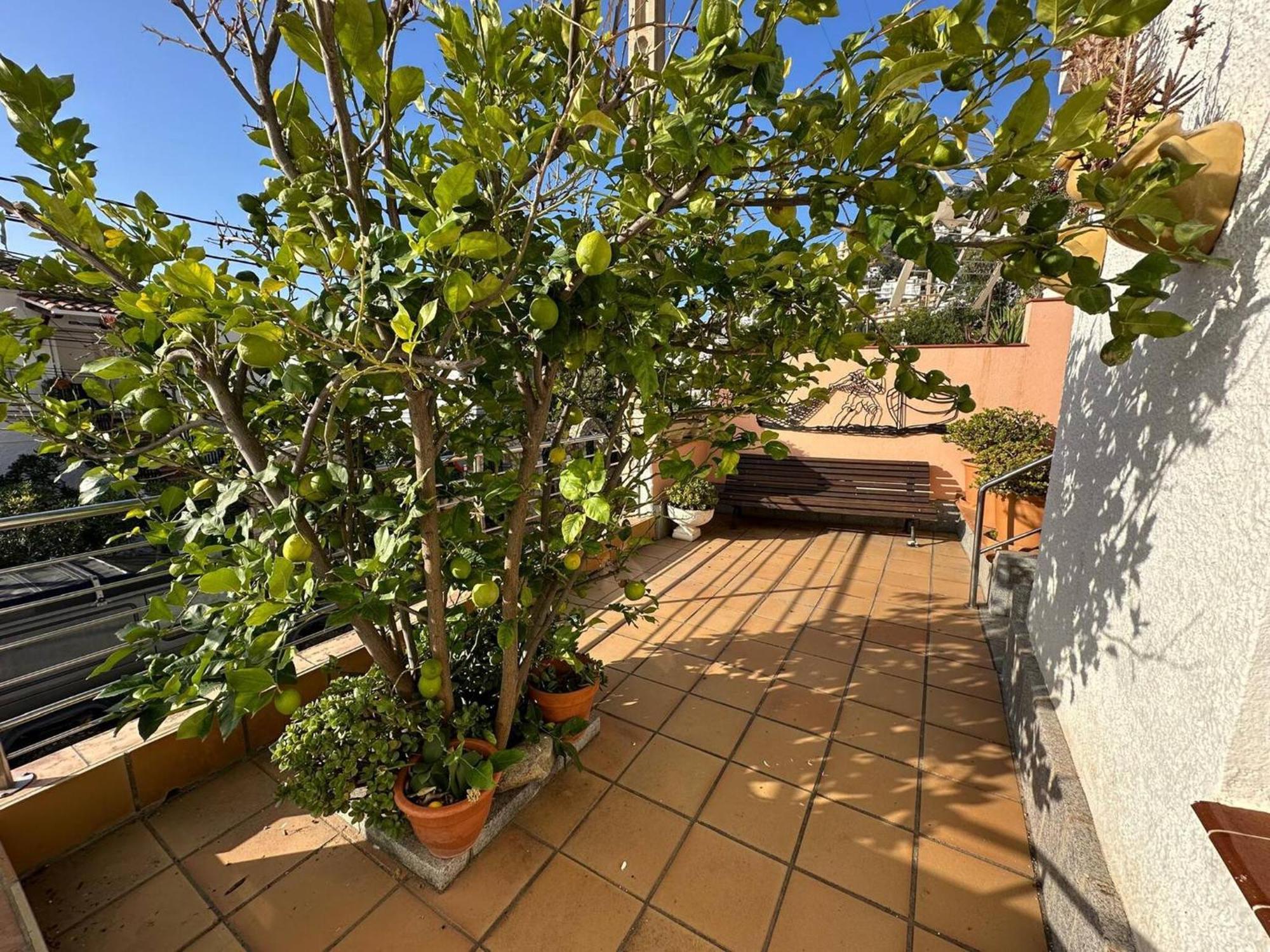 Bonito Cerca De La Playa Con Gran Terraza Av-04 Apartment *